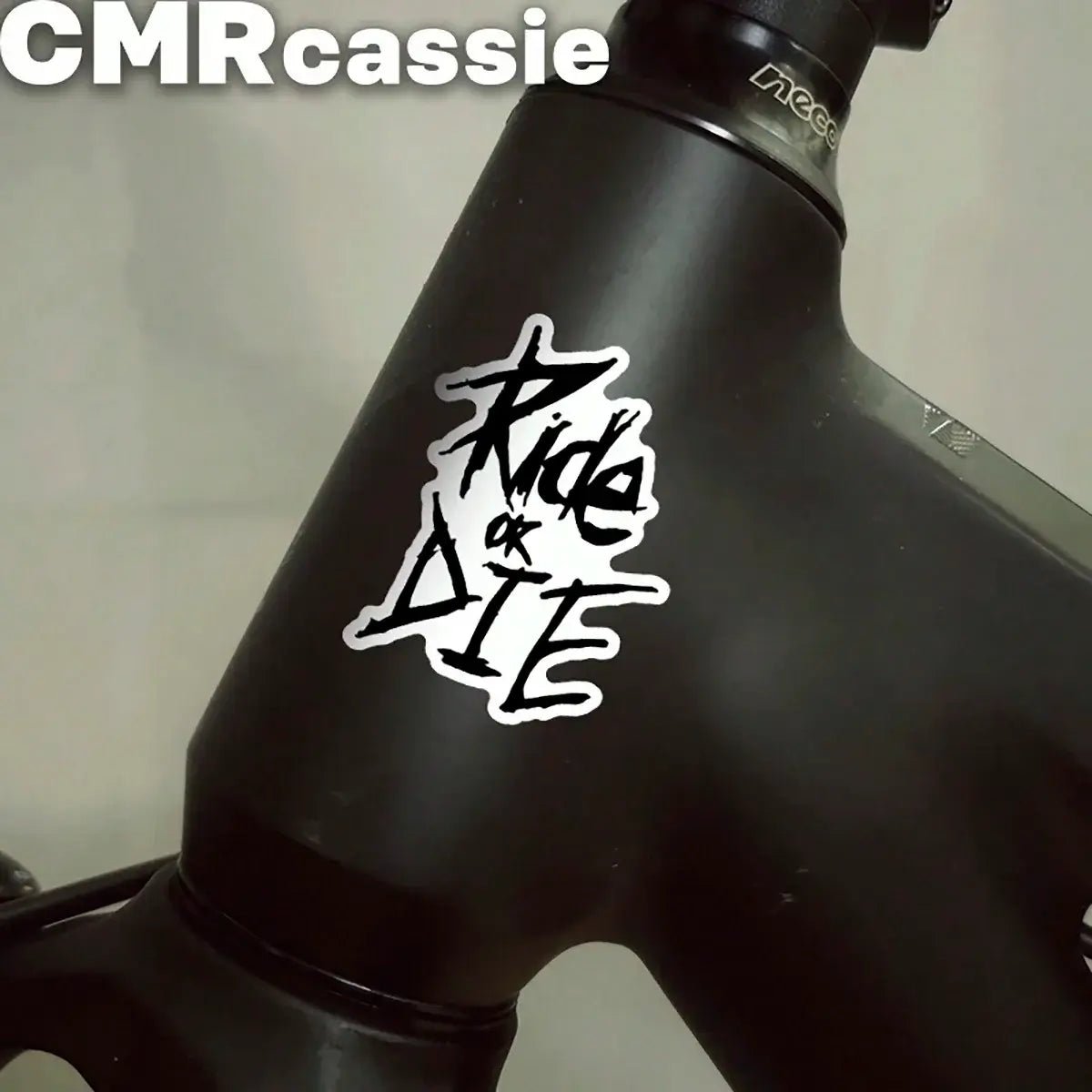 1 Set Bicycle Frame Stickers, "Ride Or Die" Top Tube Decals, Suitable For Mountain Bike Frame Decoration, Bicycle, Car, Motorcycle Accessories